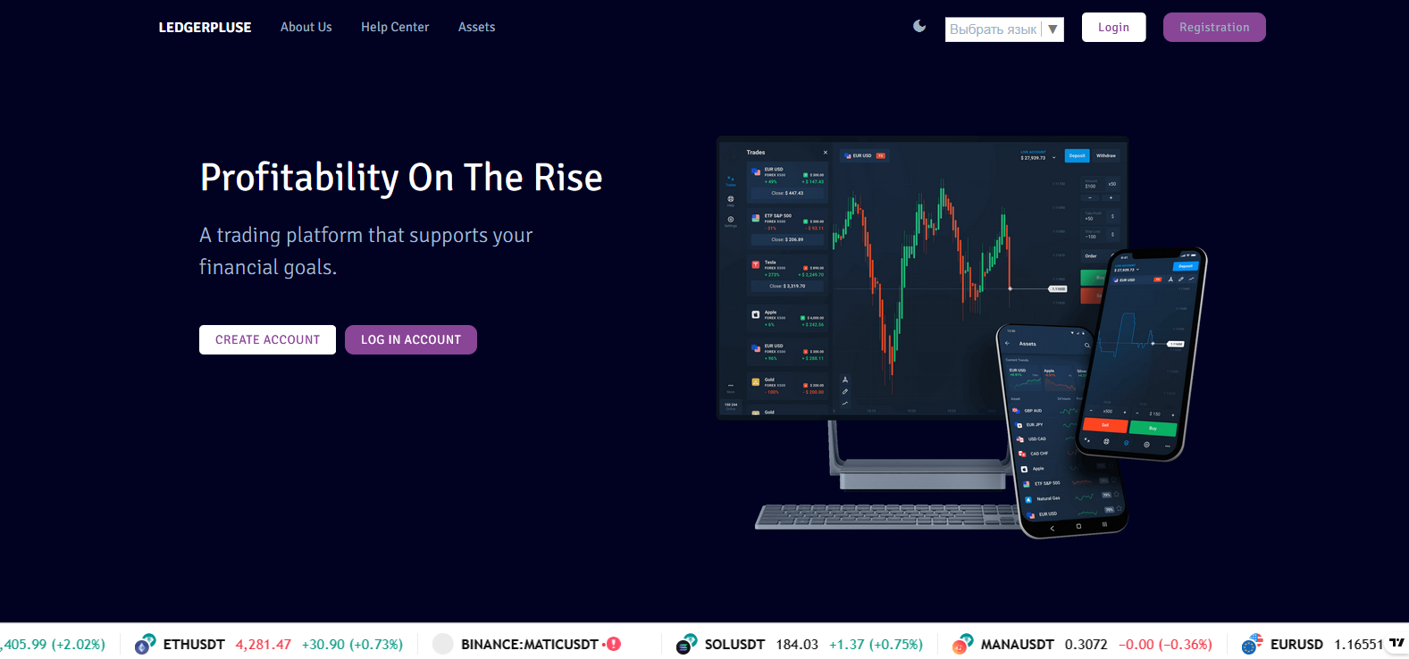 Сайт компании LedgerPluse